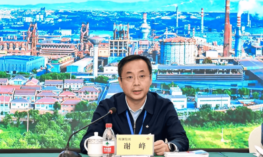 图为谢峰谢峰代表财务工作委员会作工作报告.