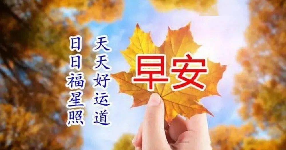 今日最新漂亮早上好祝福图片带字温馨,冬日早安问候短语句子!