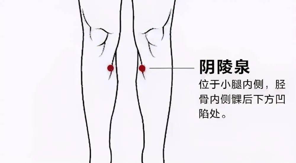 5,阴陵泉穴位置:本穴在胫骨内侧髁下缘凹陷处,是足太阴脾经的合穴.