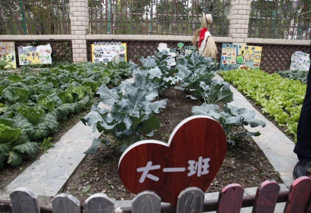 思南路幼儿园南部图片