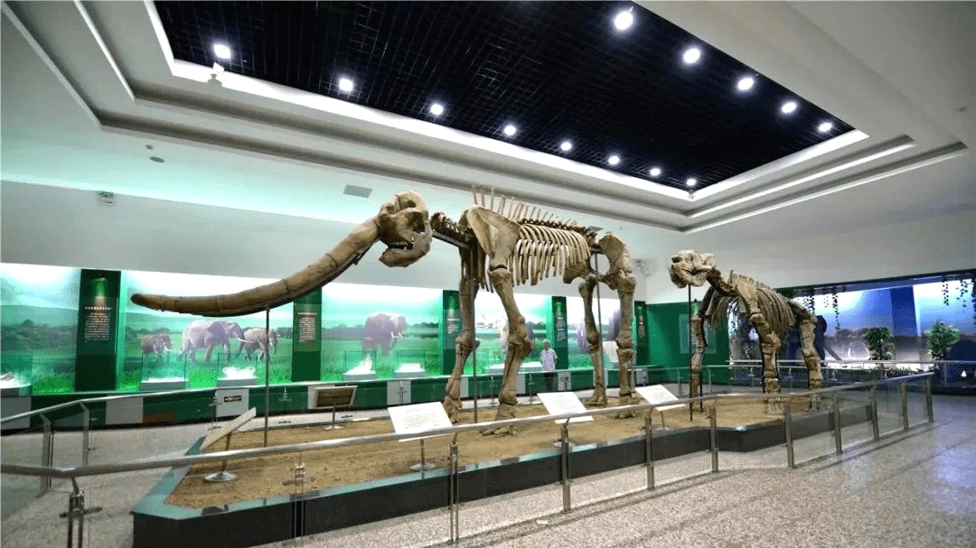 旬邑处处有故事|旬邑县博物馆_化石_瓷器_脚印