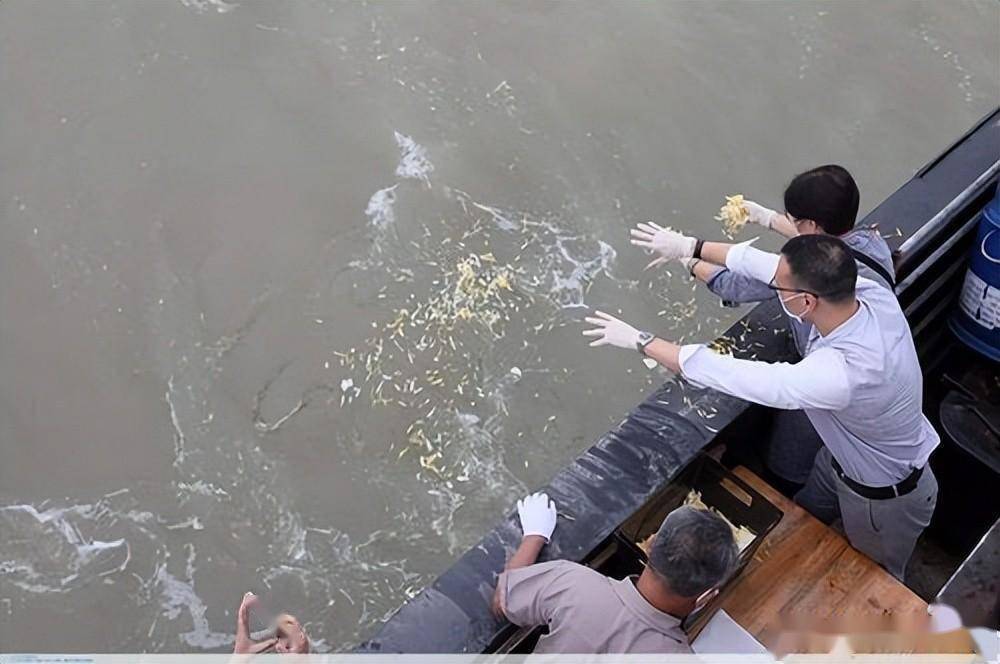 免费海葬还要排队?_进行_费用_方式