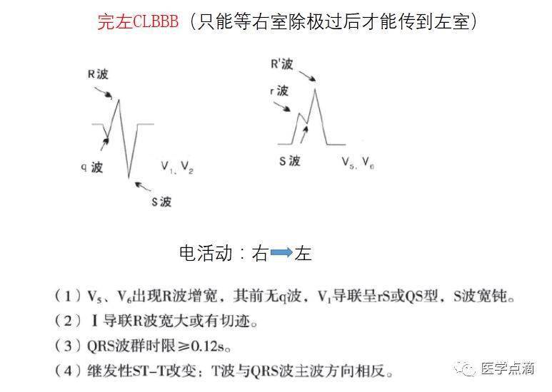 运动平板心电图多少钱图片