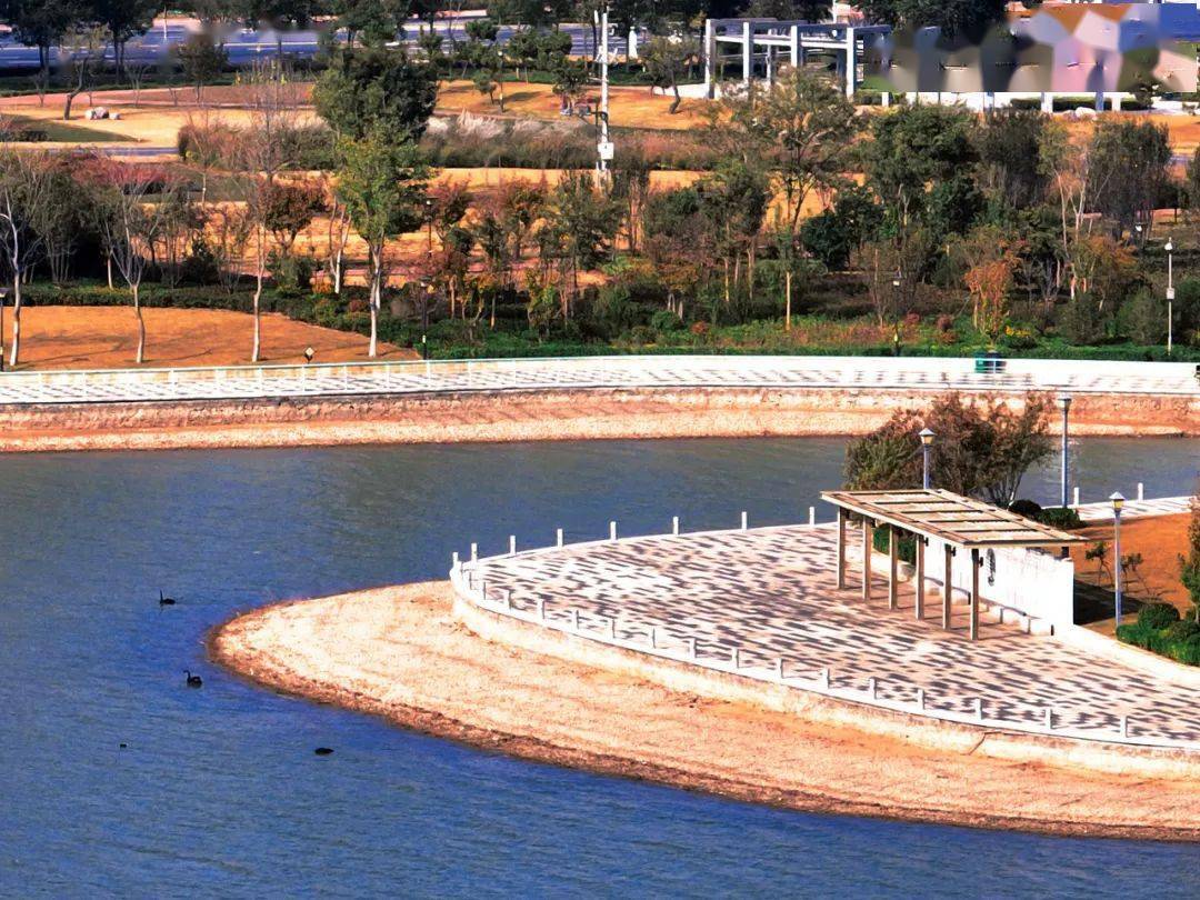 走进初冬的濮阳,半是秋景,半是冬_西湖公园_autumn_of