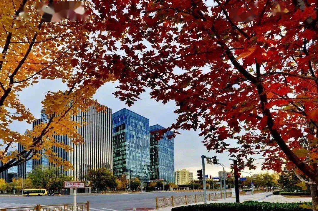 喜报!石景山区10项科技成果喜获2022年度北京市科学技术奖励