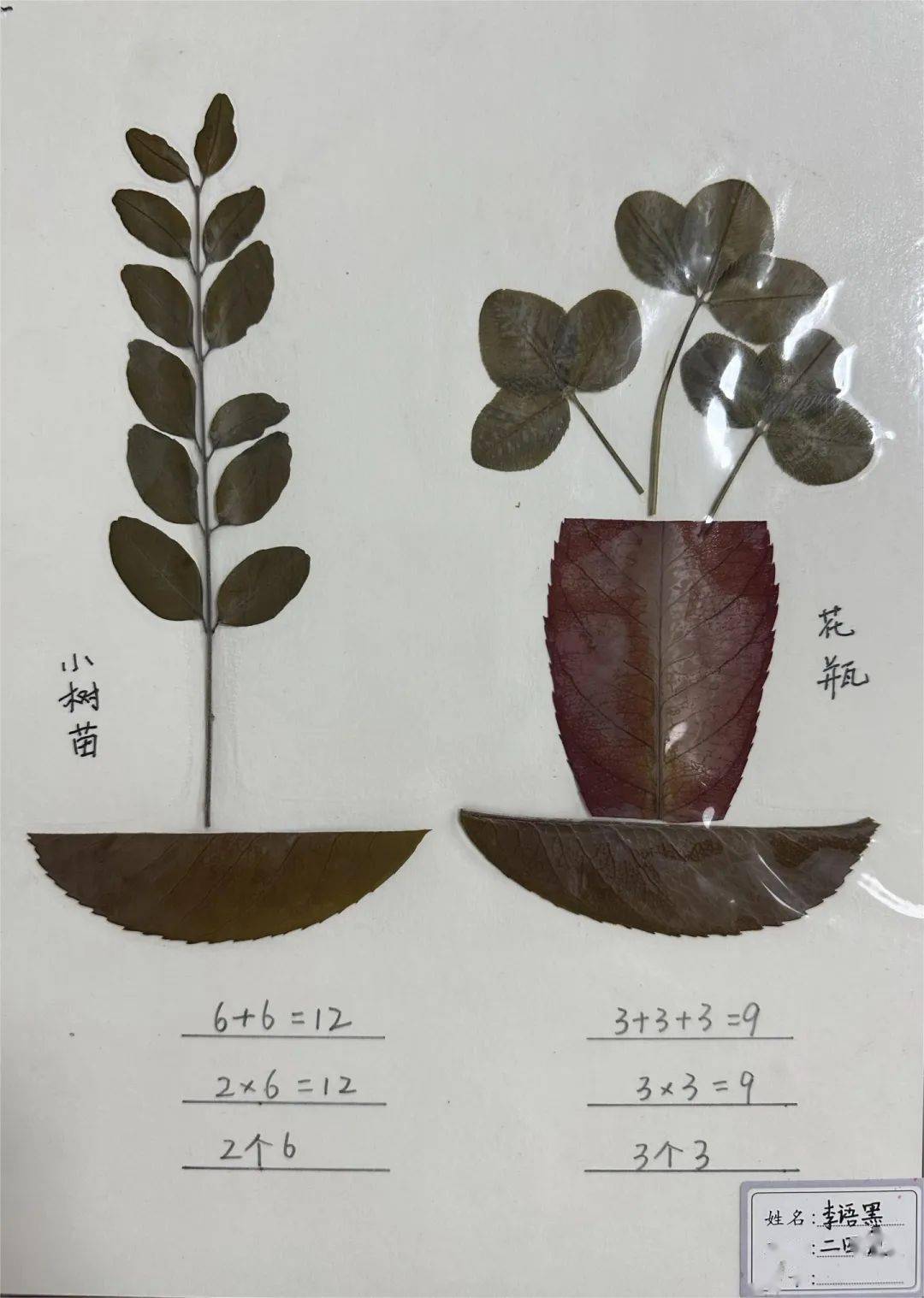 东前进小学 养正·正行 课程之二年级数学特色作业