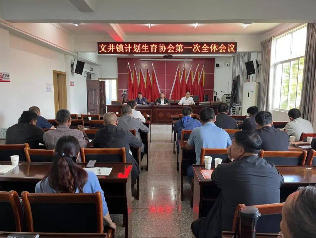 普洱市景东县计生协多措并举高质量完成基层换届选举工作_组织_乡镇