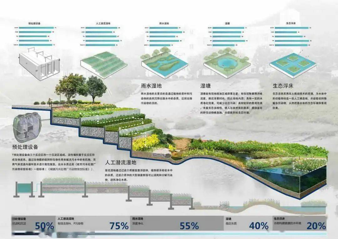 雨水花园示意图图片