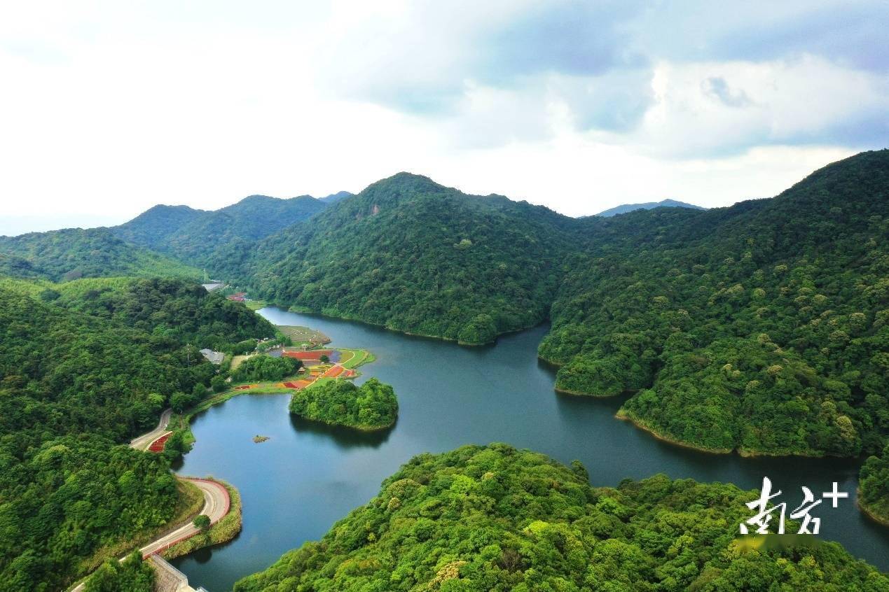 看!广州第一峰脚下的植物精彩世界