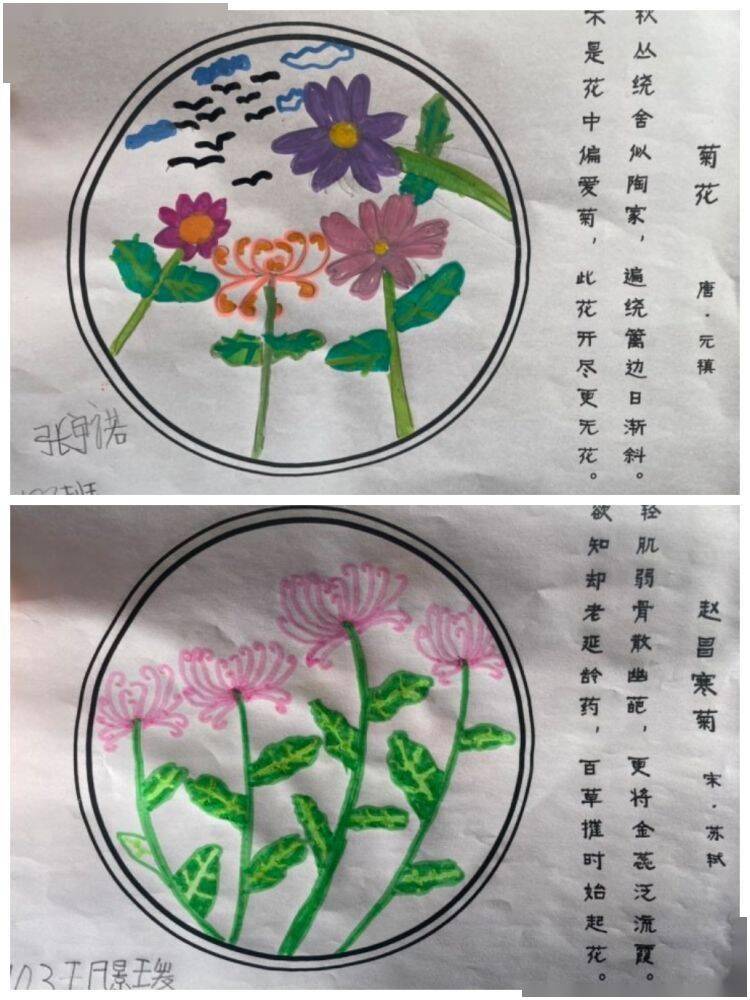 创作出一幅幅色彩艳丽,形象生动的菊花主题诗配画