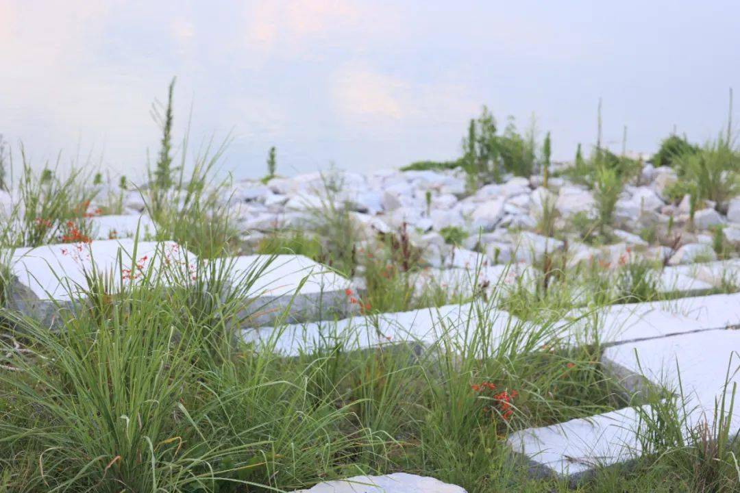 张唐作品 | 大雨之间between the rain——凤翔洲水