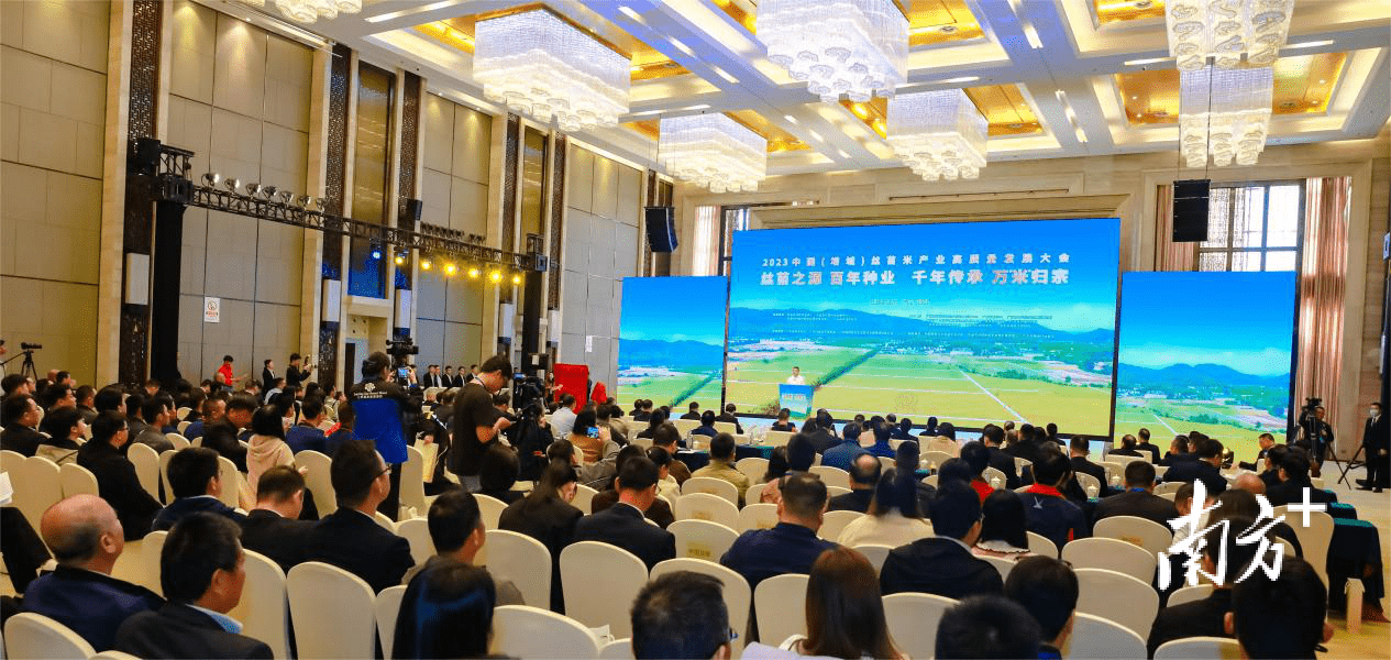 为丝苗米排家谱!增城这场大会指明高质量发展"稻"路_种质_广州市_产业
