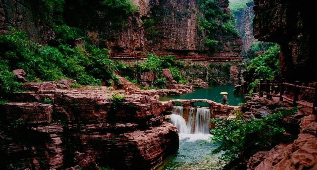 陈家沟,嘉应观景区等焦作市云台山,青天河,神农山悬壁长城),紫轩葡萄