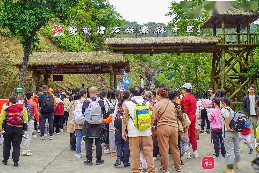融水双龙沟梦呜苗寨景区迎来千人旅游团,掀起冬季旅游热潮_活动_游客