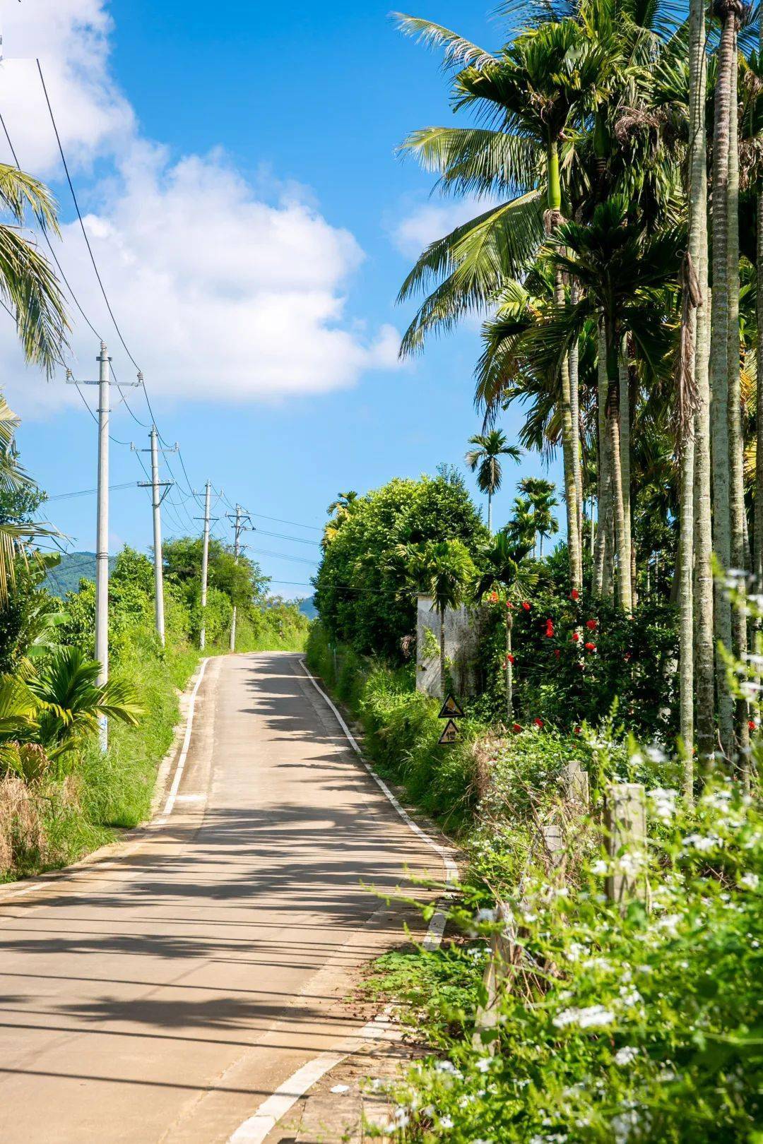 的发展理念,因地制宜推进南田居新村道路基础设施提质升级,通过新建