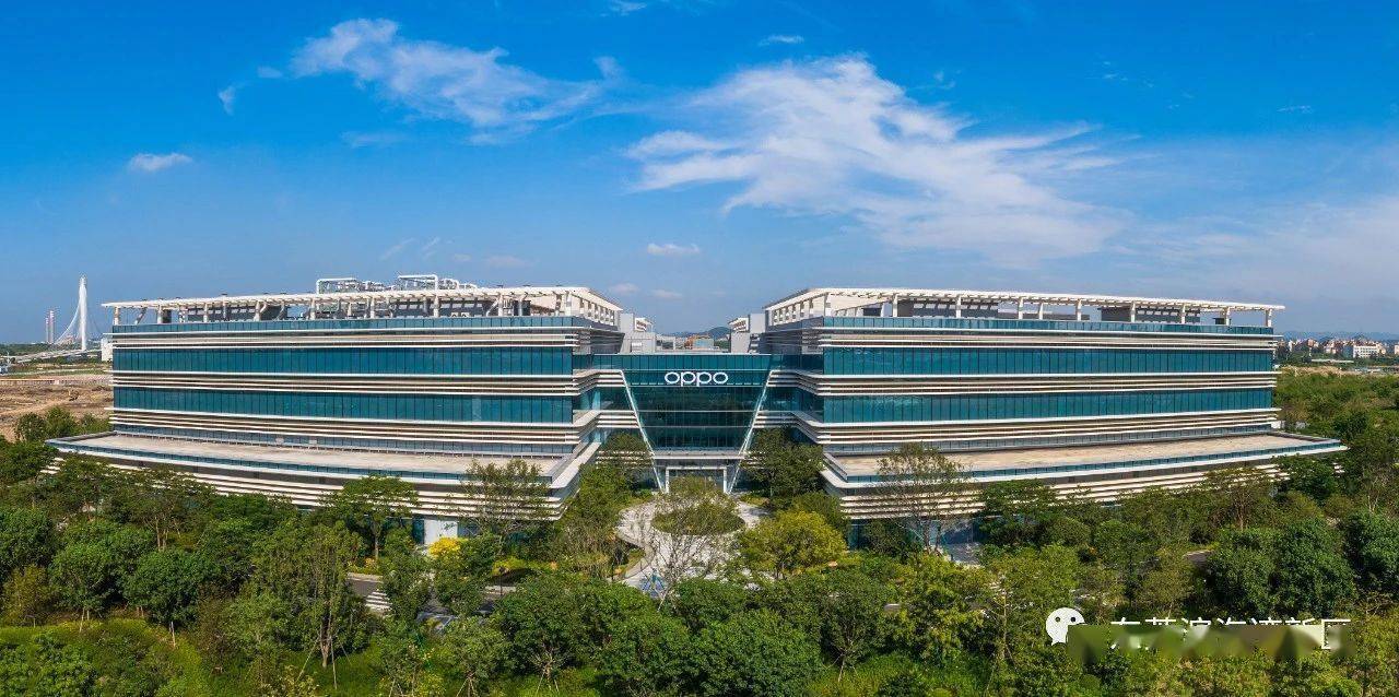 走进oppo开发者大会,滨海湾扩大产业链招商"朋友圈"_发展_人工智能