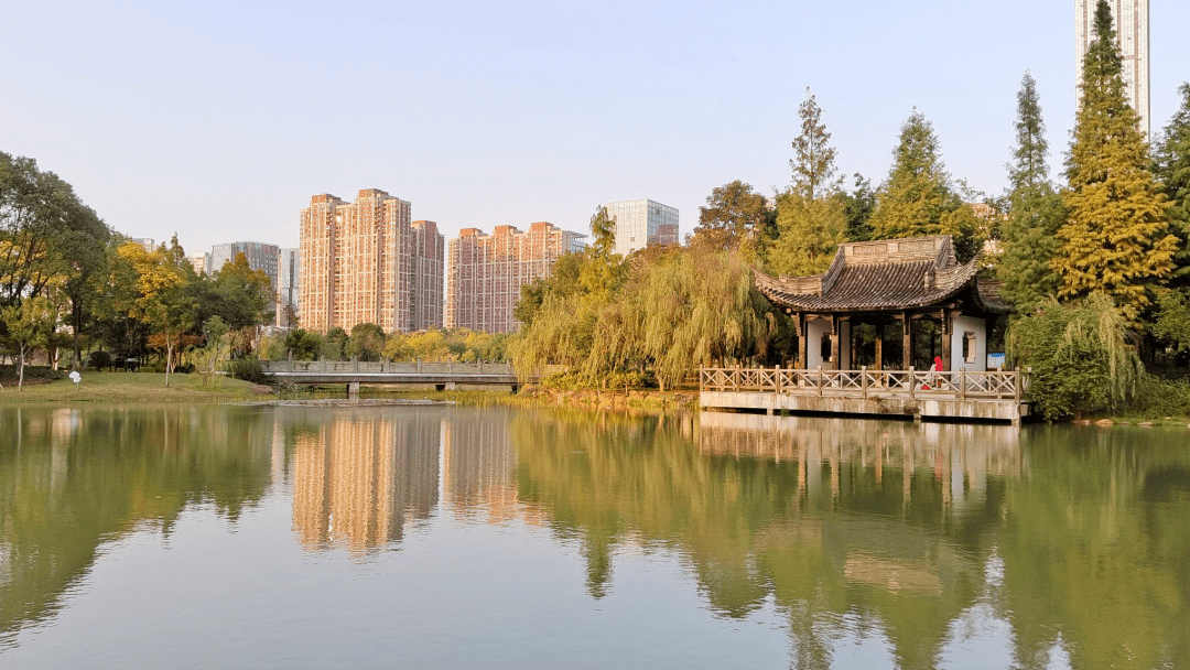 赣周事丨赣州,初冬如画_赣南_活动_志愿