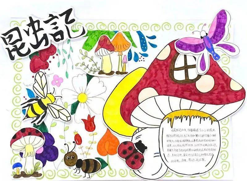 这所学校的好书推荐海报精彩极了!