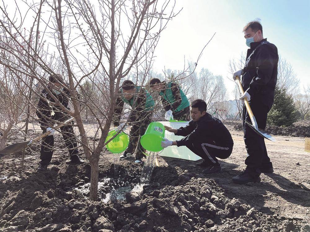 潘晟昱 攝(資料圖片)11月,南遷珍稀鳥類飛到洮南市安定鎮四海湖國家