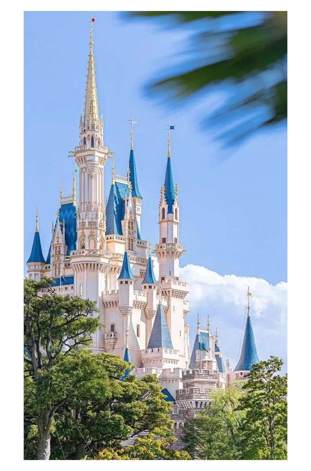 武汉婚礼堂游学第三季 诺丁山新天鹅堡艺术中心>简介_婚嫁_社群_视频