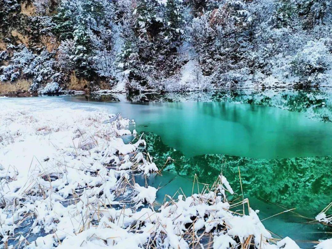 错过了官鹅沟的春夏秋千万别错过银装素裹的冬一起静候美景如约而至吧