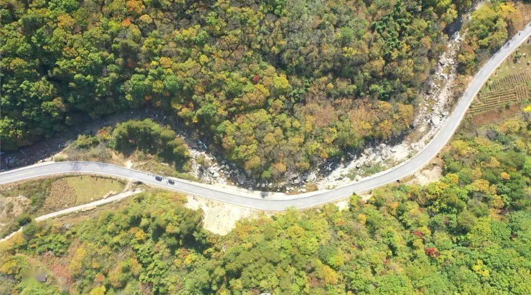 康养之都 醉美公路|打卡345国道木王镇栗扎坪段_镇安_安融媒_新闻