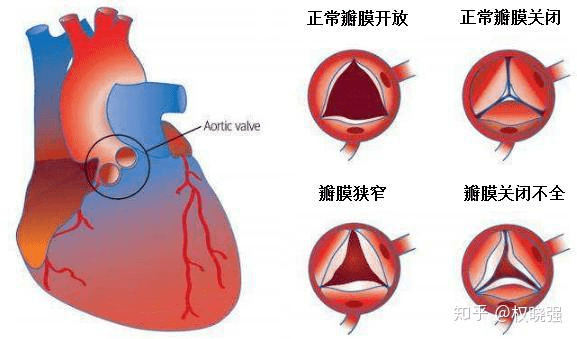 若是非專業人士起名,會俗氣的叫