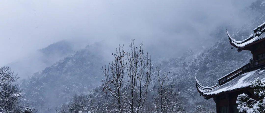 二十四節氣|小雪——一枝參透乾坤縕 生意都從小雪來_餈粑_北風_落葉