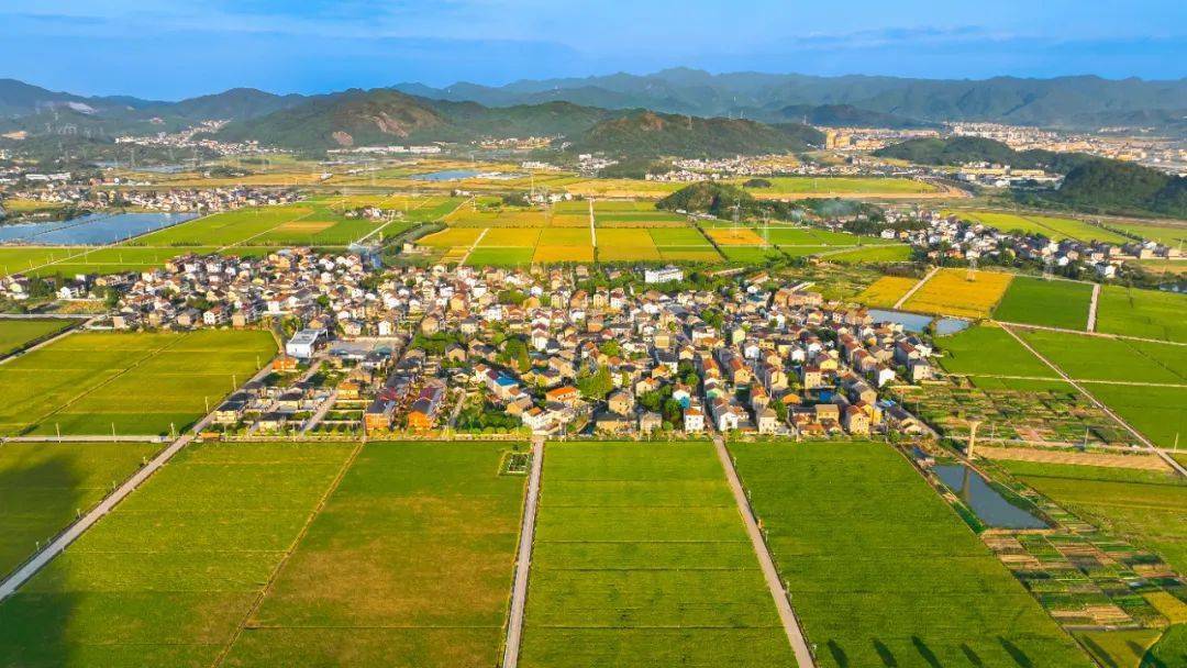 诸暨这个村._新村_杜黄_治理