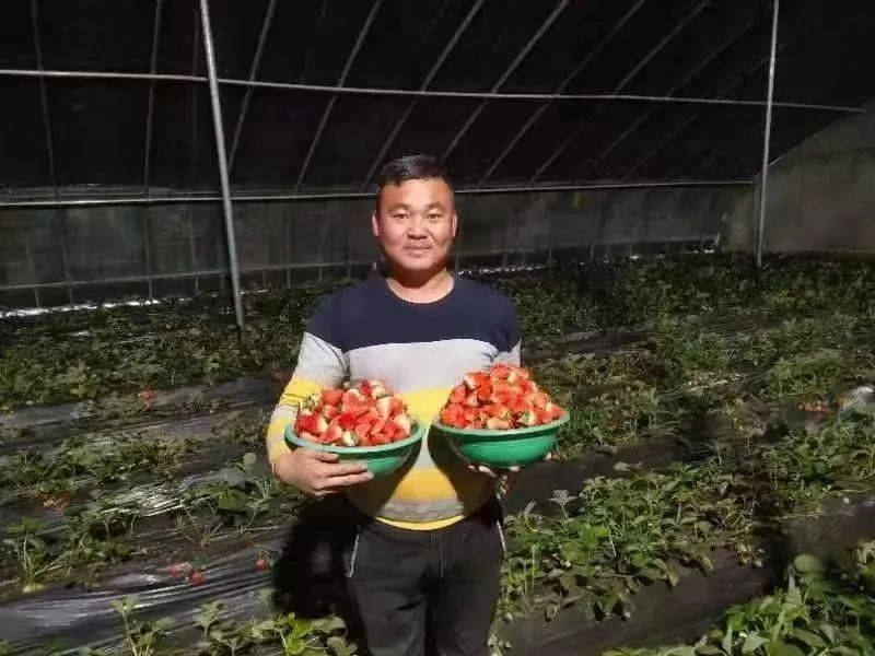 其中,金玉龙获得第二届"全国乡村振兴青年先锋"标兵荣誉,苏德花,江力