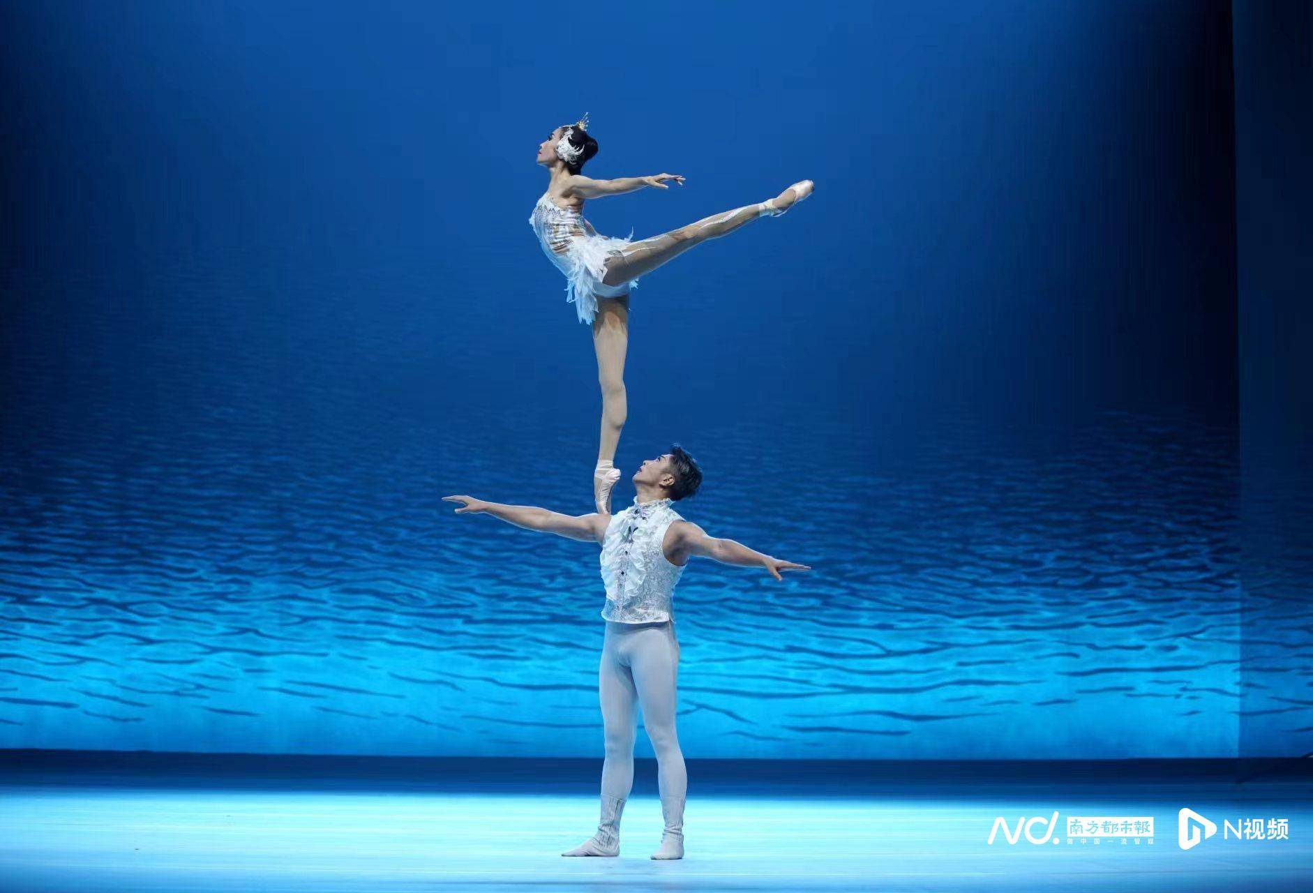 美得惊心动魄!广州杂技剧《天鹅》惊艳第十五届广东省艺术节_文化_创