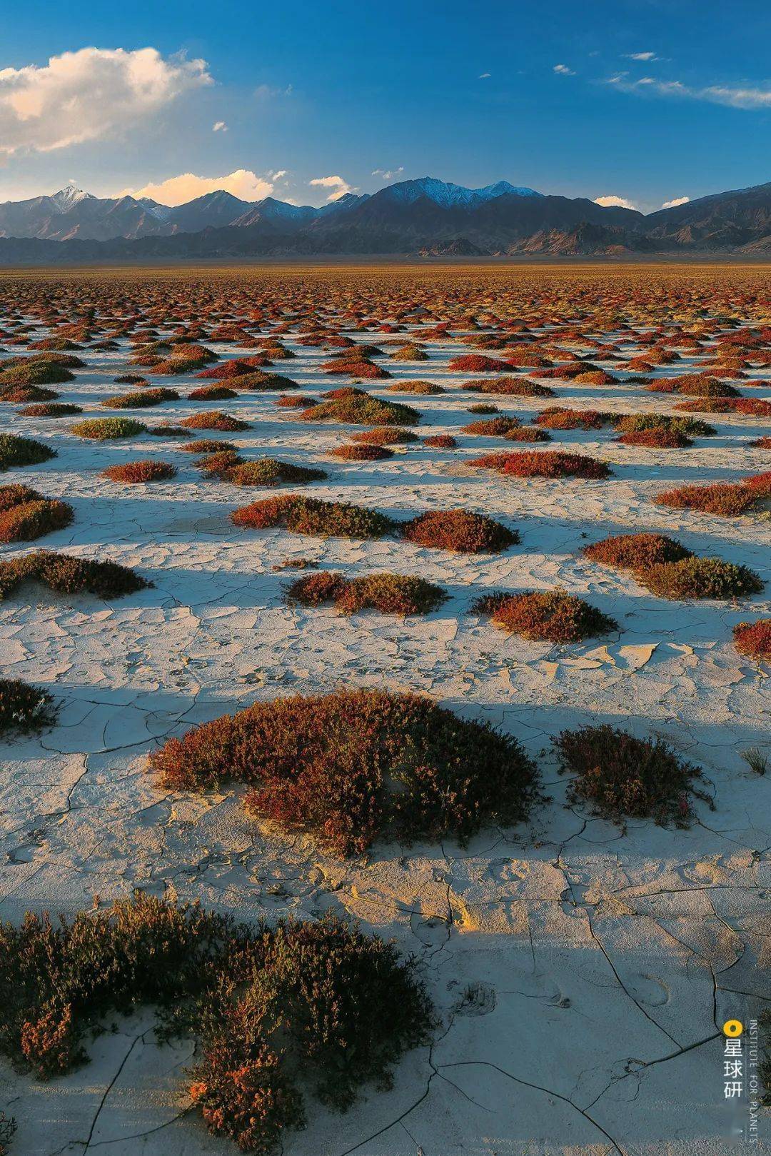 阿尔金山,中国最不知名的无人区!_沙丘_自然保护区_沙漠