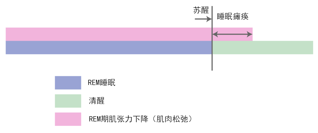 “鬼压床”到底是什么压住你?_睡眠_身体_状态