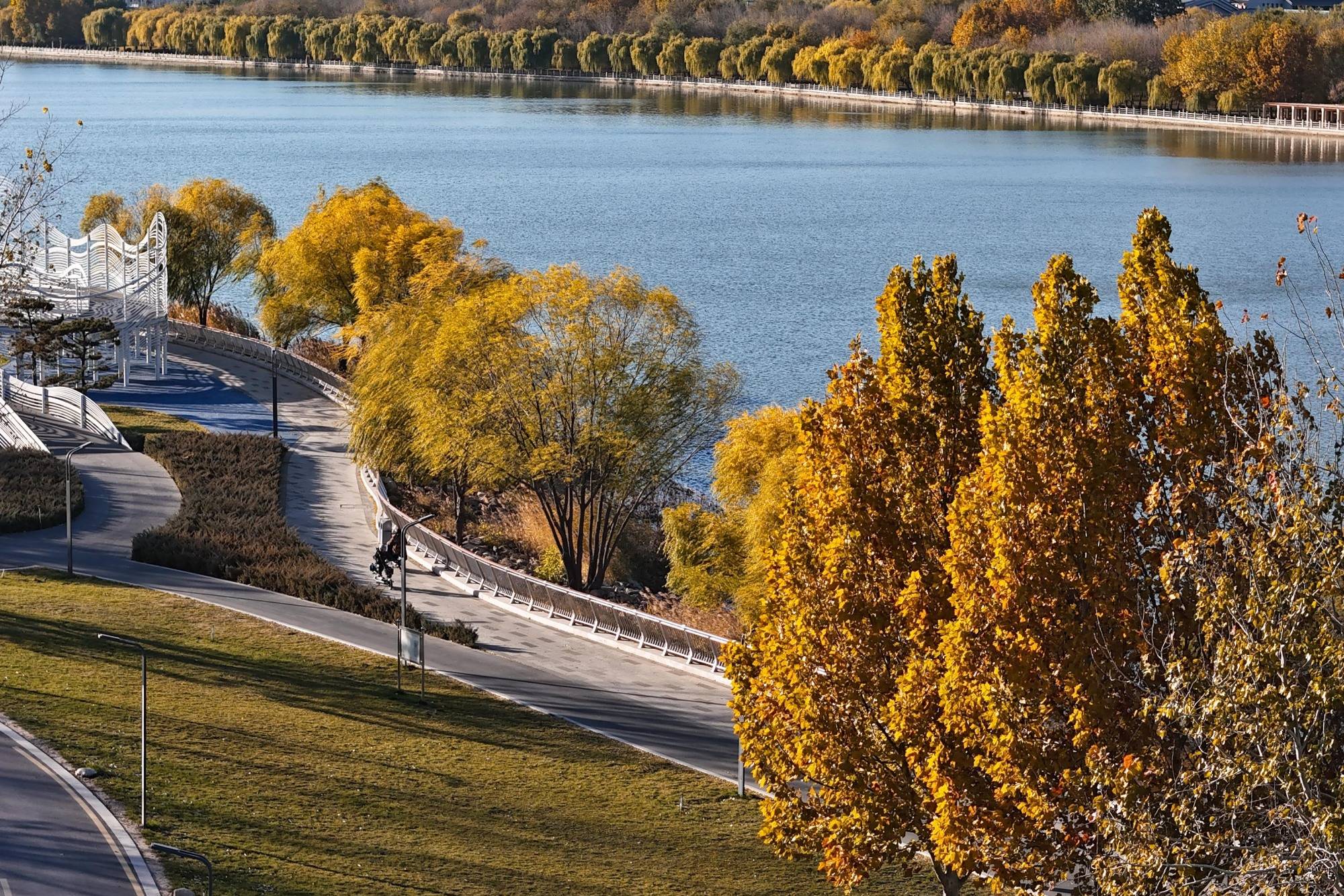 初冬时节 在河北石家庄太平河畔邂逅斑斓美景_王伟倩_成景_景色
