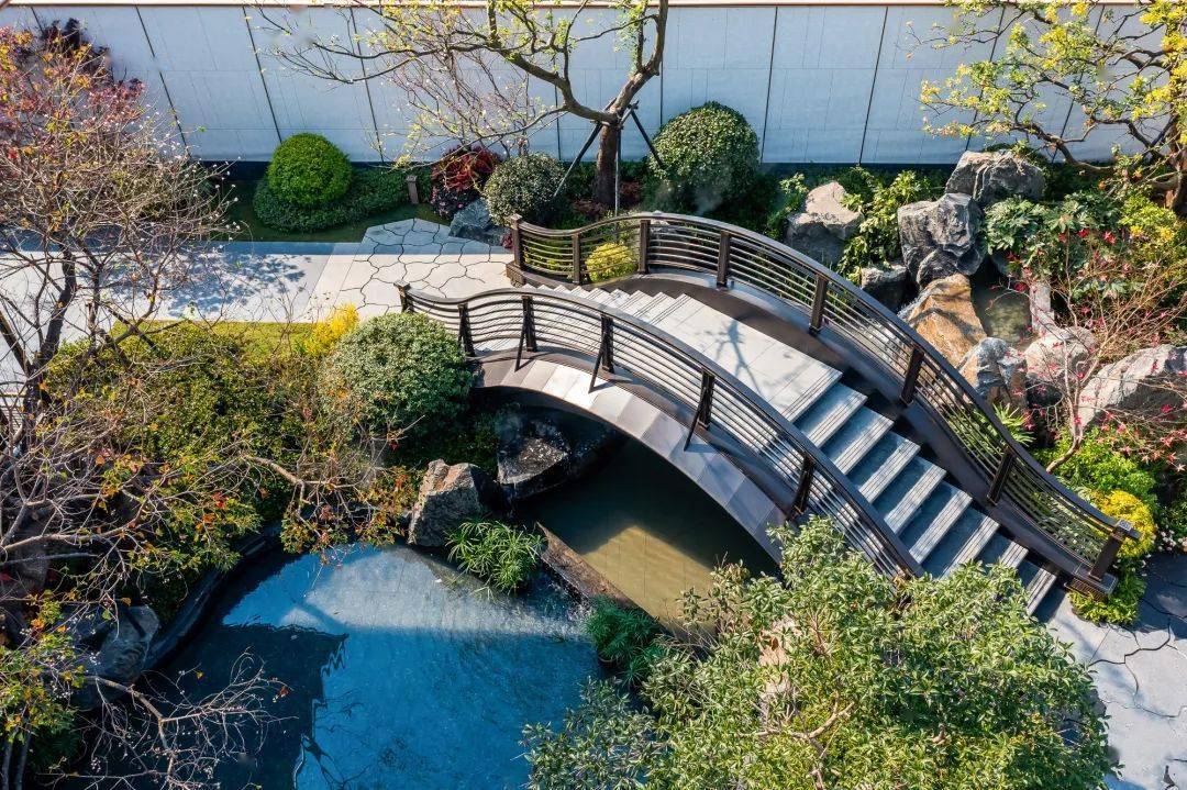 师法宋画《会昌九老图》,看这图视角,自然成为取景框,框内青松奇石