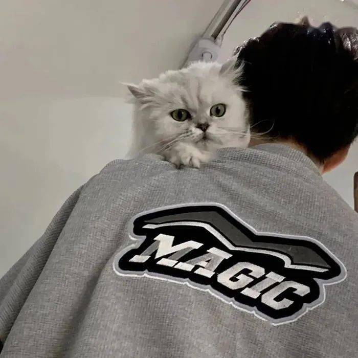 近期好看的微信头像_歌单_搜索_strong