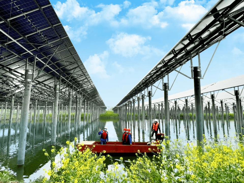 山东年风光发电量首次突破1000亿大关_电网_新能源_国网