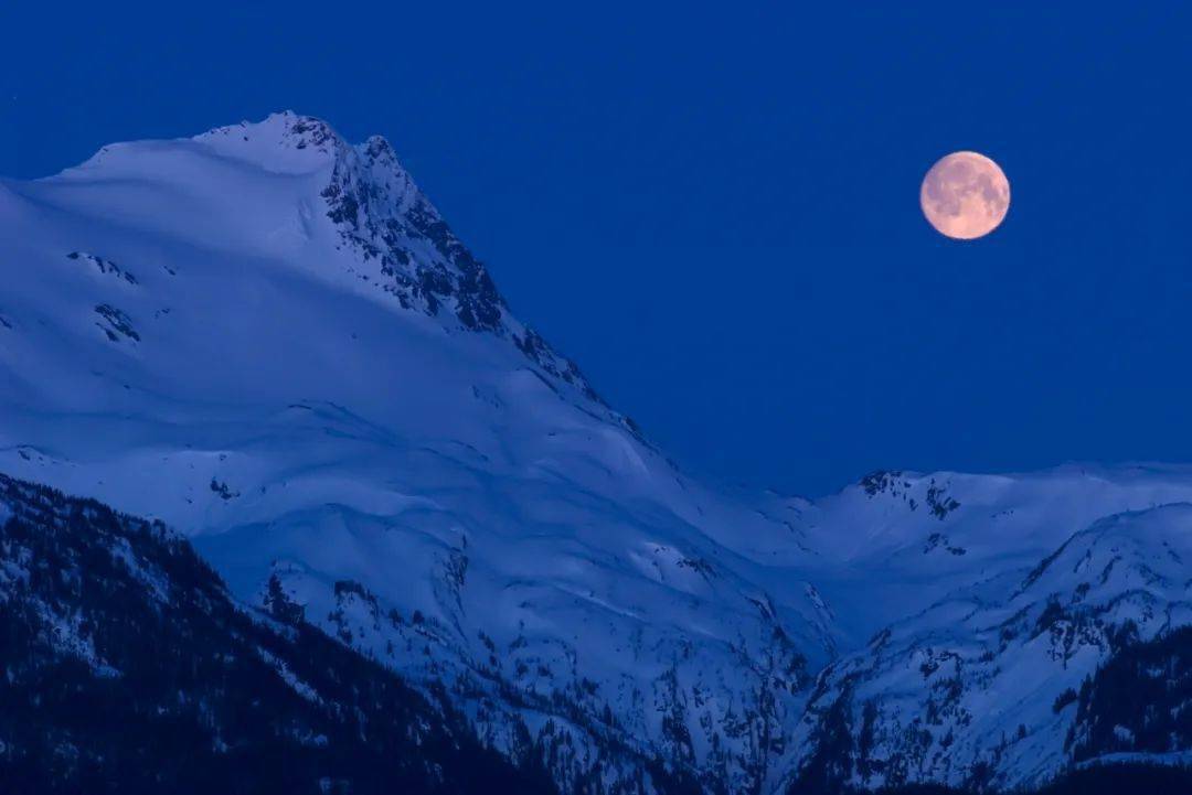 小雪天,月圆夜,梅开时,用这句诗说"我想你了"_江南_白居易_浮云