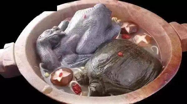 洞头区牡蛎丸 乐清市贝壳类高山田螺楠溪江螺蛳翻滚酸菜钉螺高山田螺 