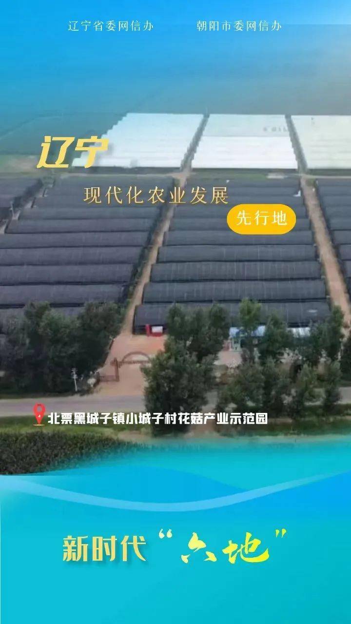 为辽宁打造新时代"六地"作出北票贡献_阚文敏_王华男_朝阳