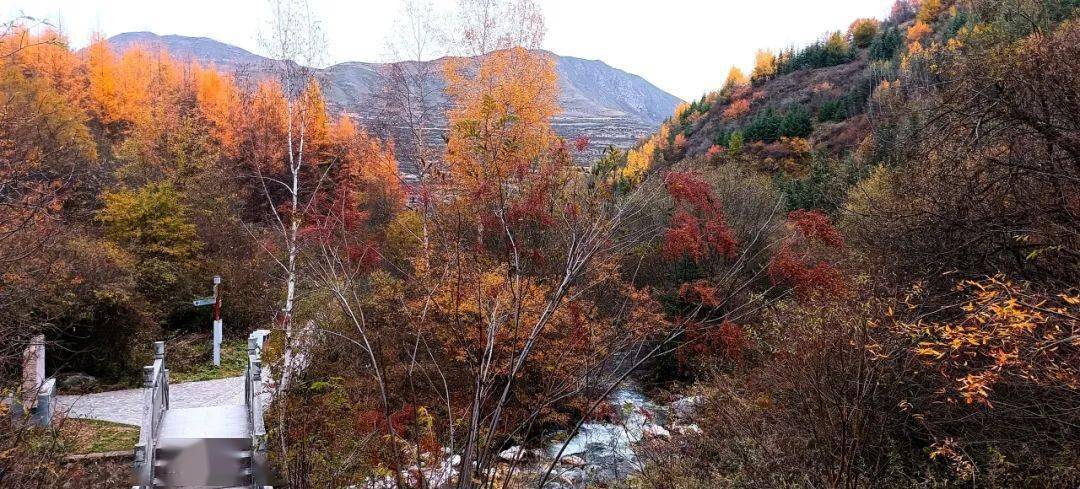 公主請登山 | 遮陽山貴清山冬季限定玩法上新,一路向上追暖陽!