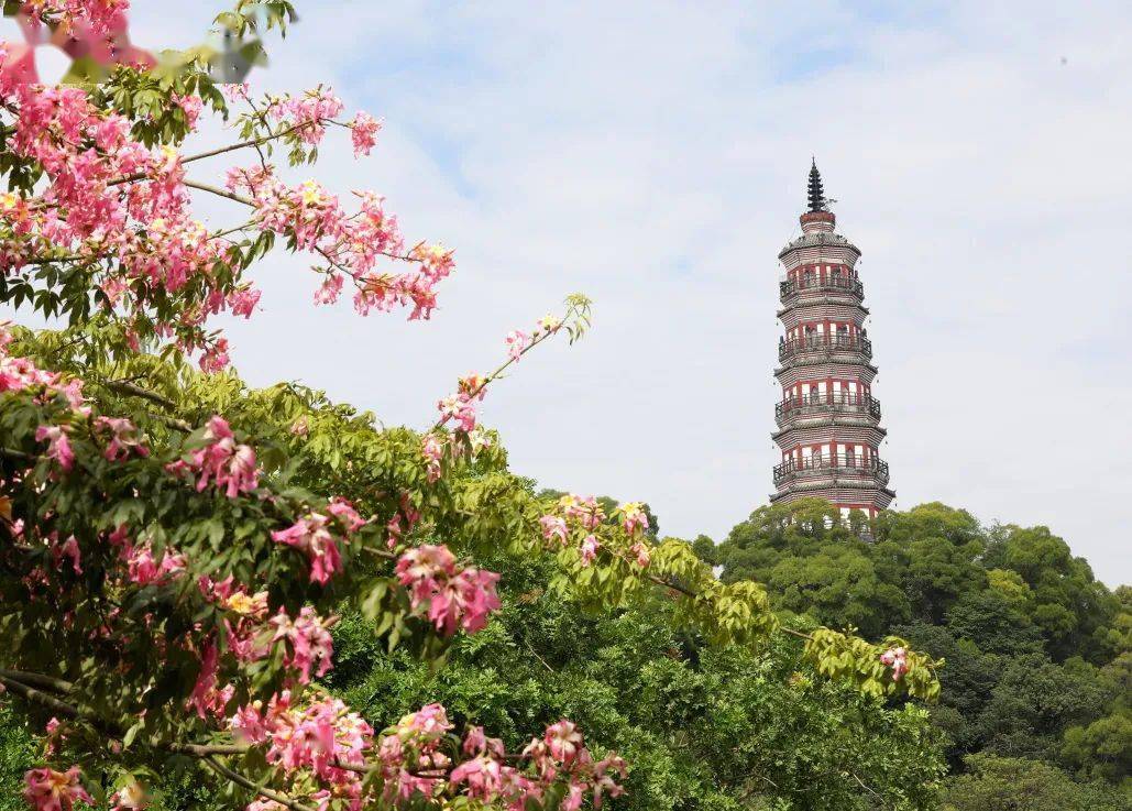 顺峰山医院(顺峰山医院是不是三甲)