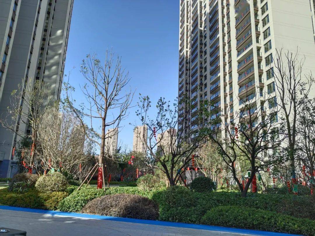 米宅验房 | 名门翠园再交付,改善水平如何?_景观_大部分_楼栋