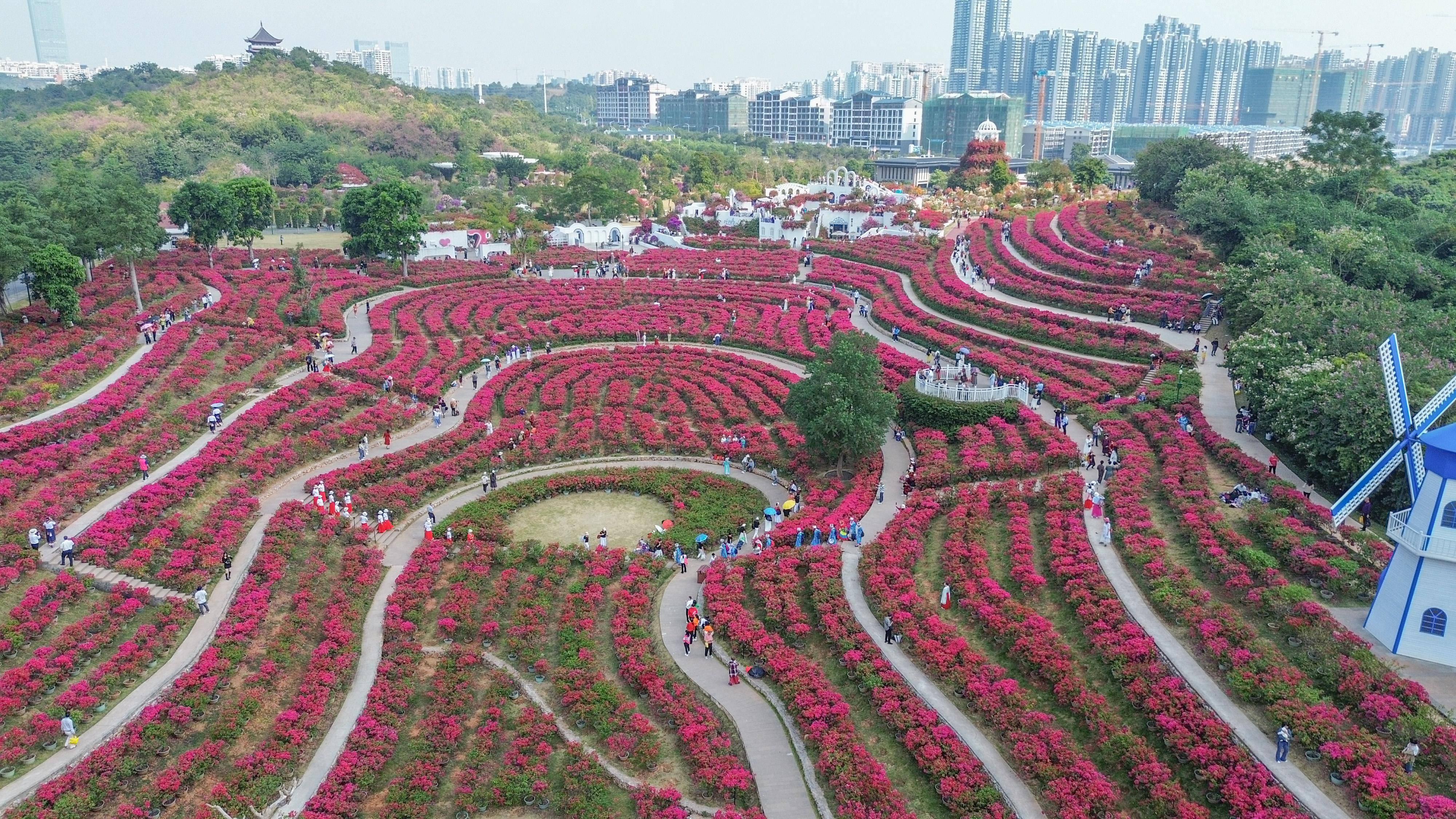 三青叶子 奶瓶图片