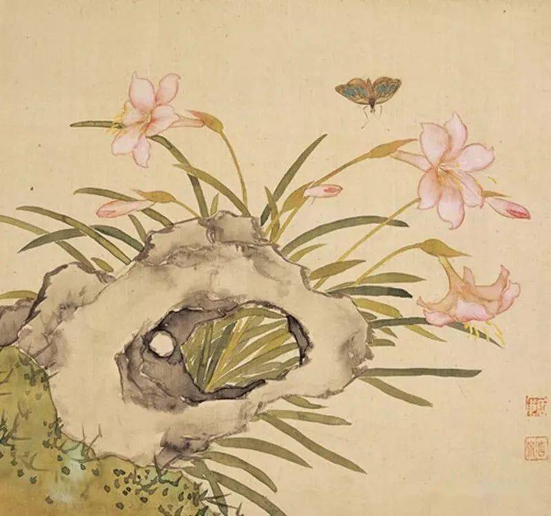 芳香石豆兰华凤仙石斛华南龙胆长萼石竹荷包牡丹花万带兰通泉草与石仙