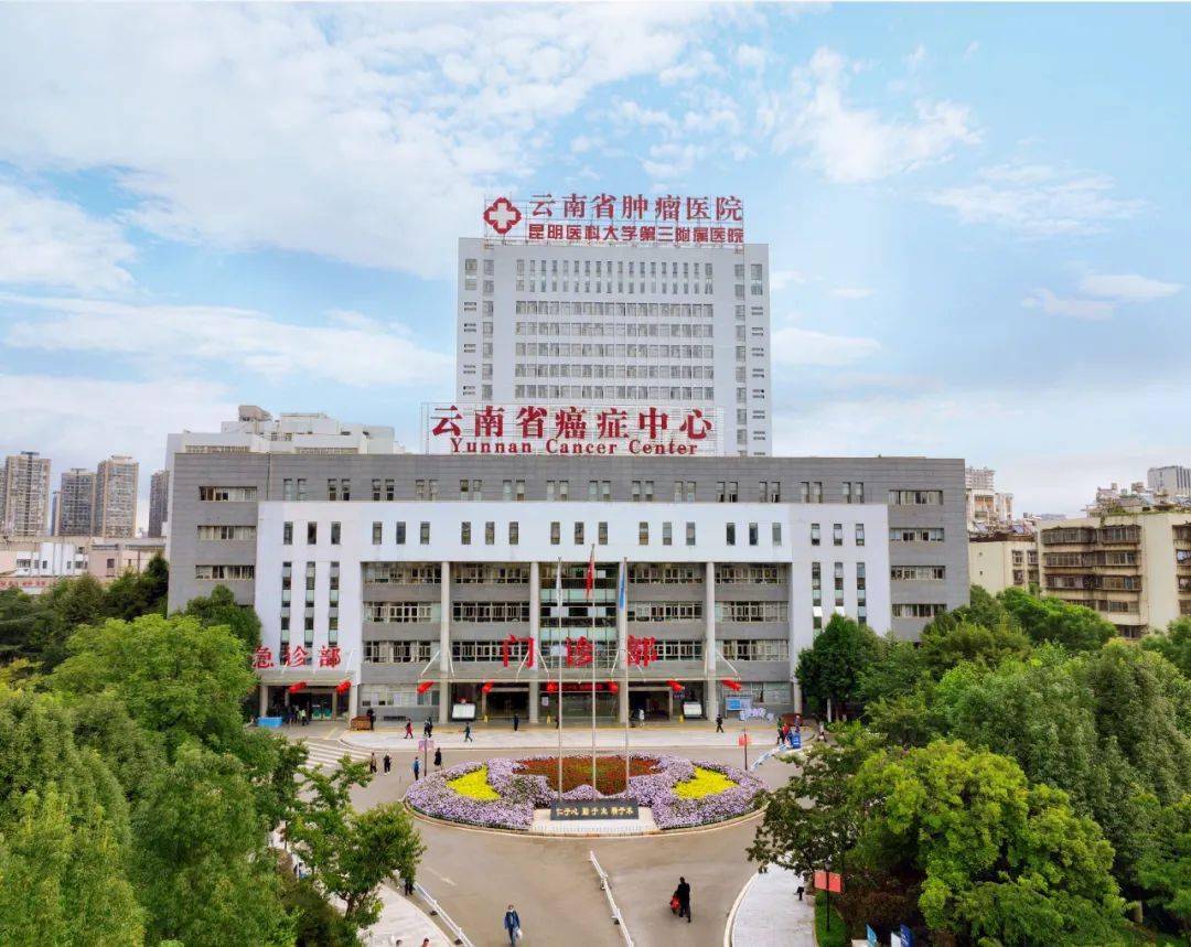 包含北京大学肿瘤医院医院排队代办挂号全天24小时陪护服务，随叫随到的词条