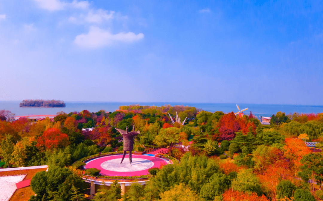 初冬时节,来宿迁骆马湖国家级旅游度假区赏芦花飞雪入梦!