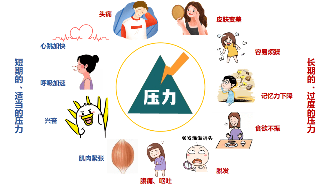 小心这件事让衰老速度比别人快六倍_压力_研究_皮肤