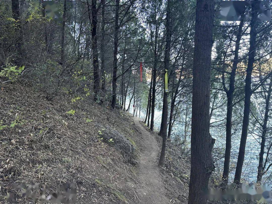 看不够的湖景,尤其是下午两三点钟,阳光给湖面和山峦都镀上一层金,美