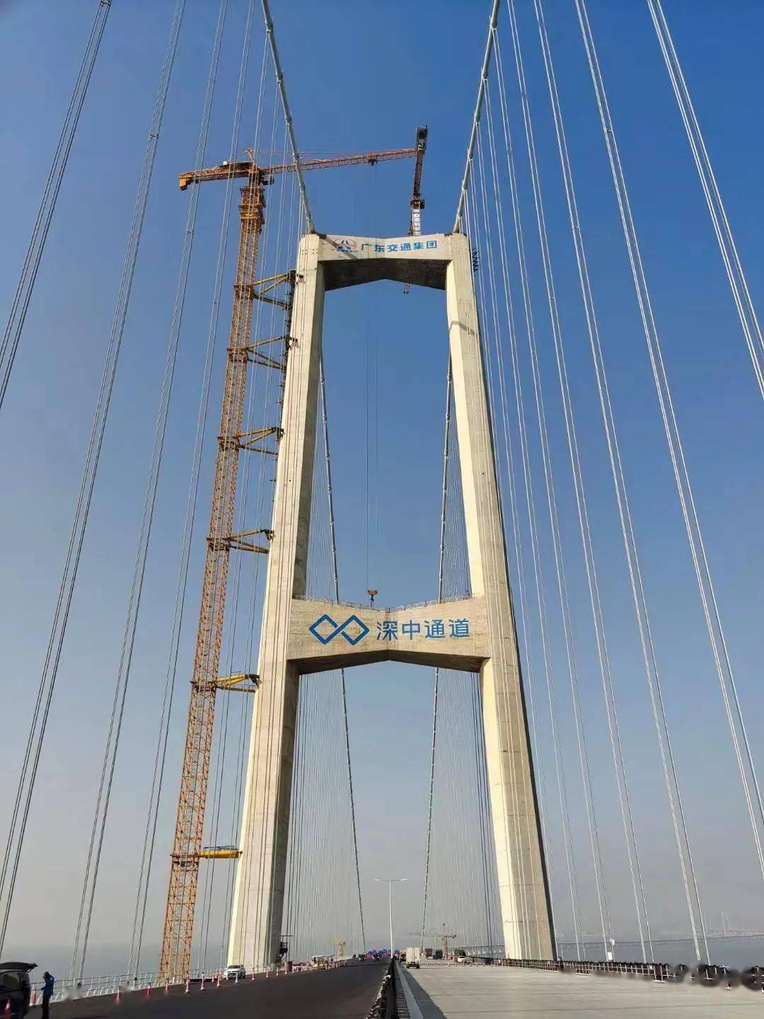 预计明年通车,从珠海可以这样前往→_建设_中山_项目